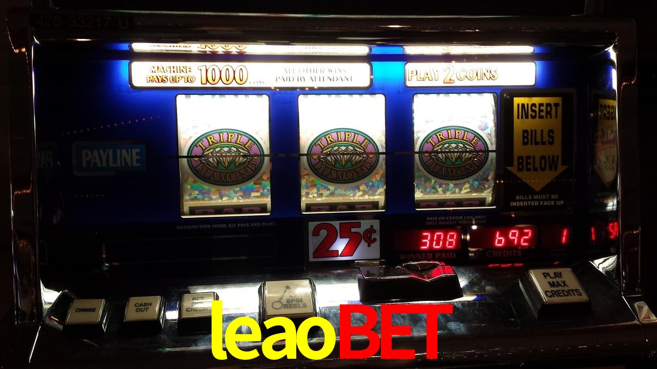 Experiência VIP leaobet